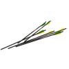 Excalibur Carbon FireBolts 20 in. 6 pk.