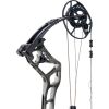 Bear Surpass Bow Strata/Black 60 lbs. RH