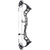 Bear Surpass Bow Strata/Black 60 lbs. LH